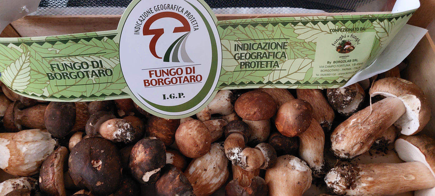 Tortelli ai Funghi Porcini