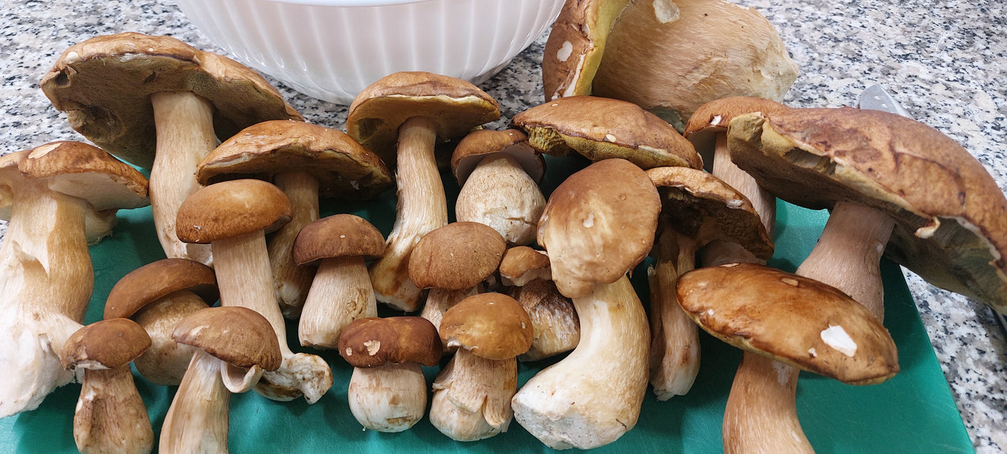 Tortelli ai Funghi Porcini