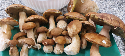 Tortelli ai Funghi Porcini