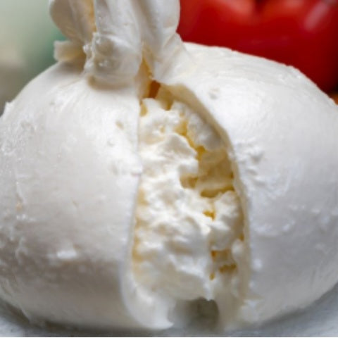 Tortelli Burrata e tartufo